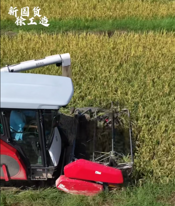 【稻花香里說豐年，聽取蛙聲一片】